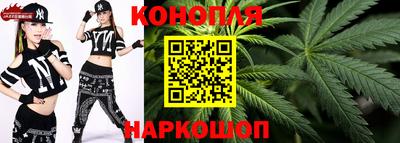 гашик Лесосибирск