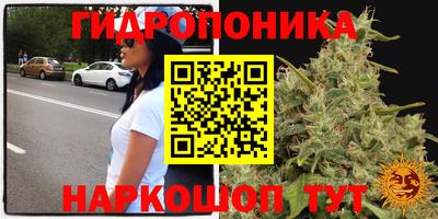 2c-b Кунгур