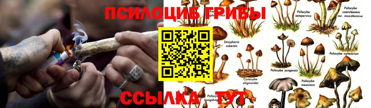 Галлюциногенные грибы ЛСД Звенигород